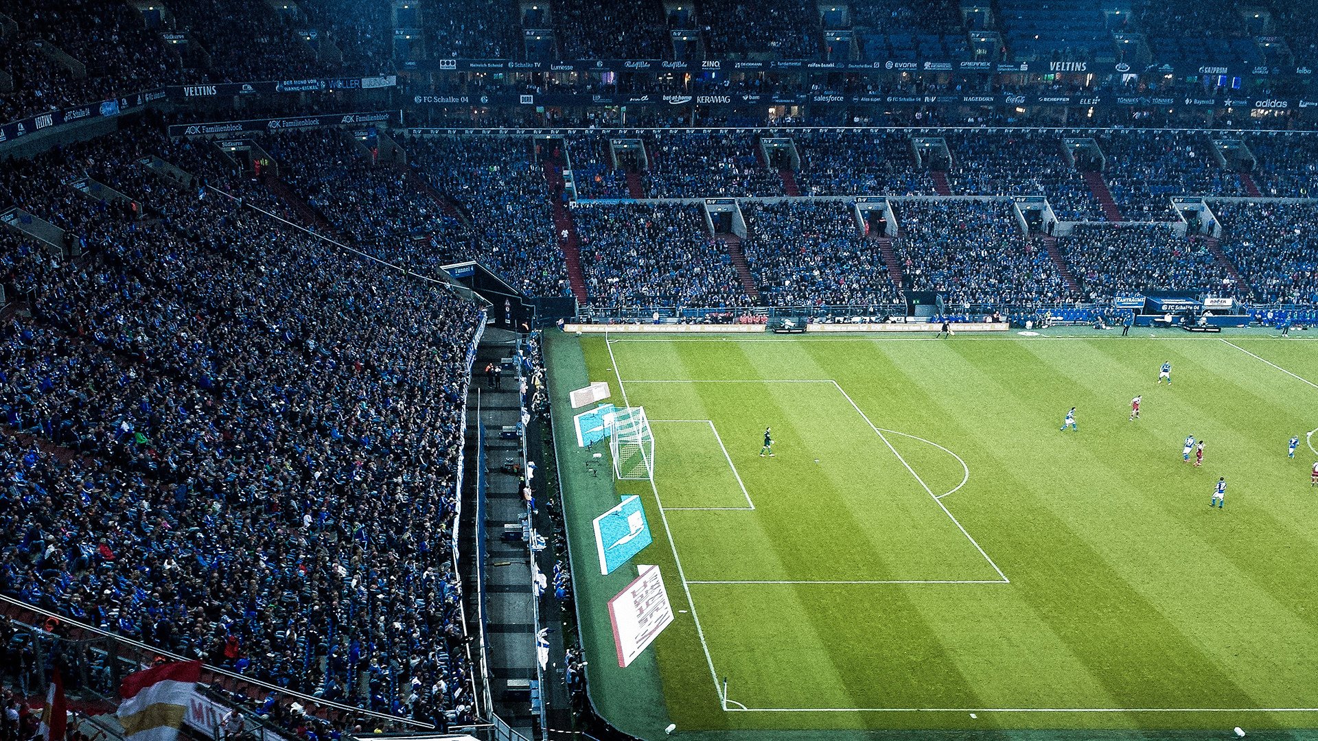 科维托娃致命绝杀,那一剑封喉如何点燃澳大利亚的胜利火焰?科维托娃致命绝杀,一剑封喉点燃澳大利亚胜利之火