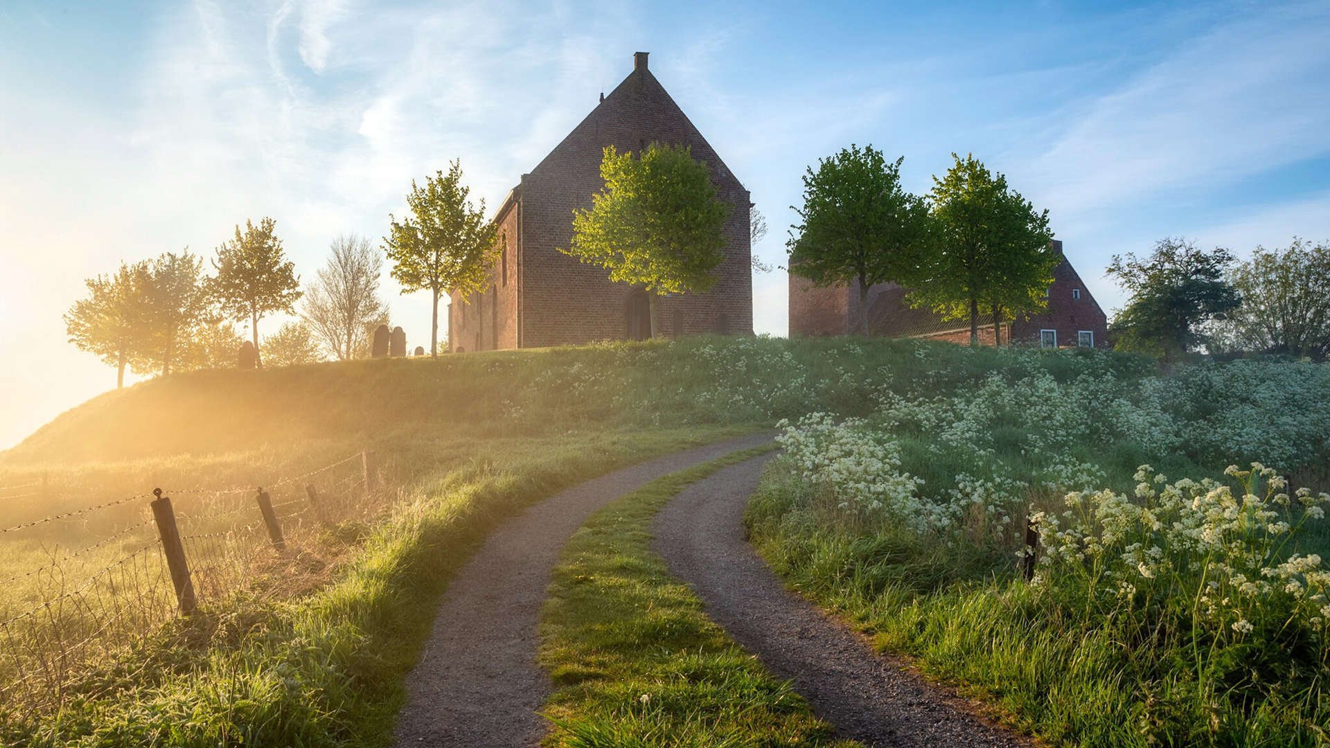 v7.2.5 版本正式发布,2026年2月19日,聚焦性能优化与安全加固